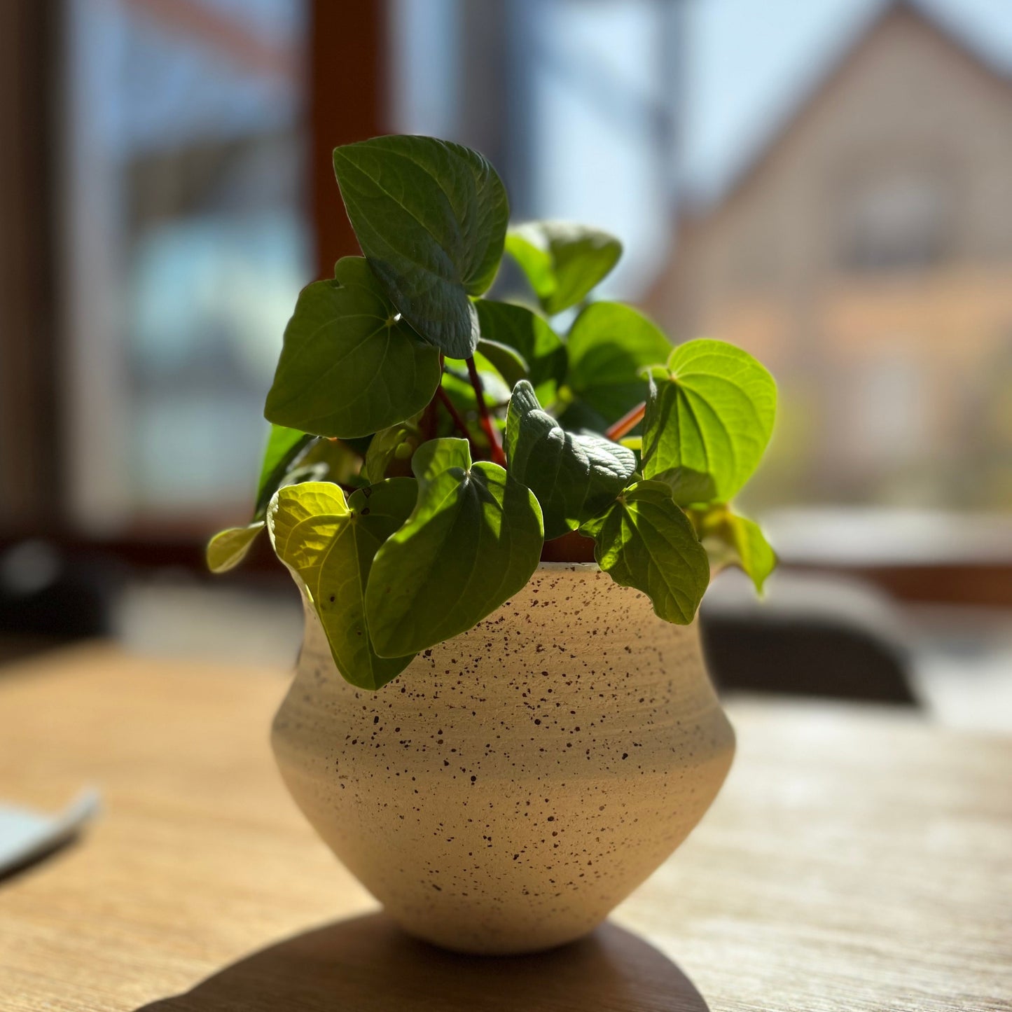 Vase Amphore 2