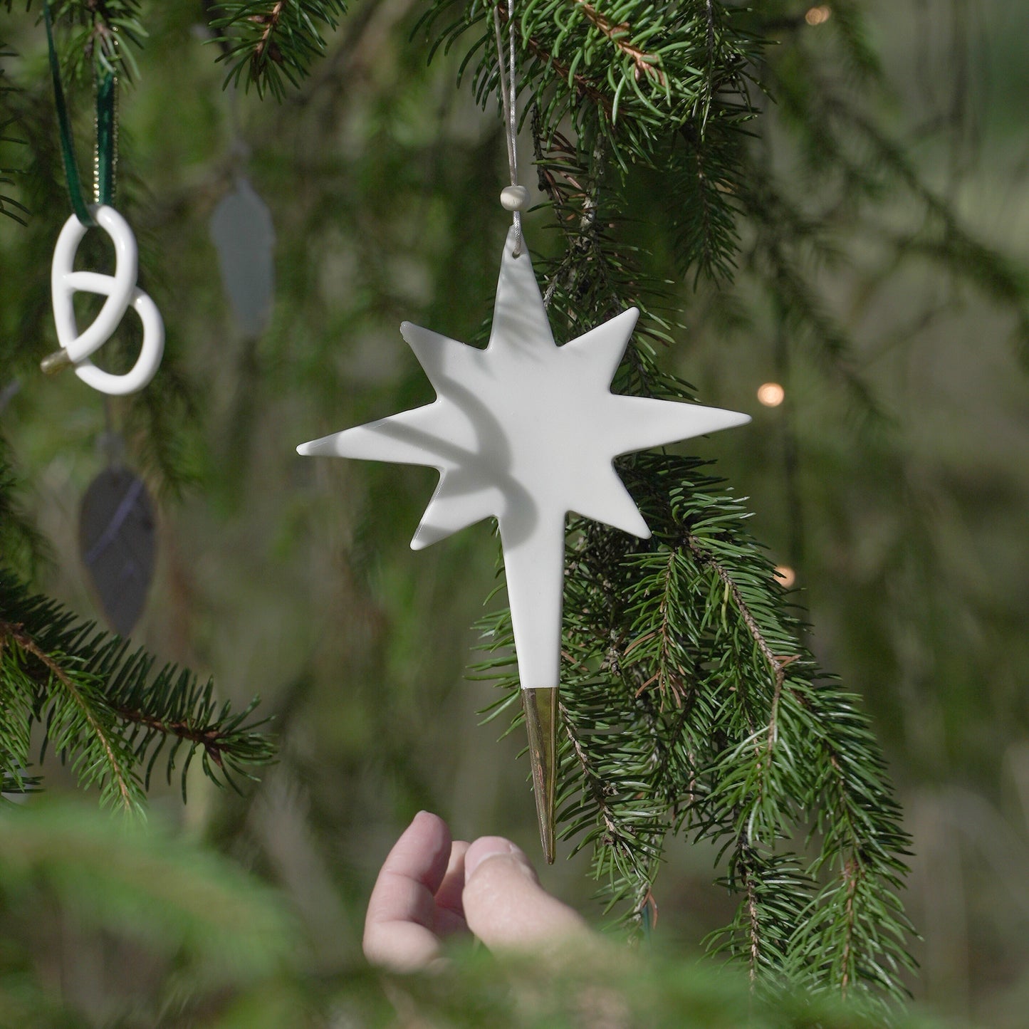 Déco Etoile du Berger