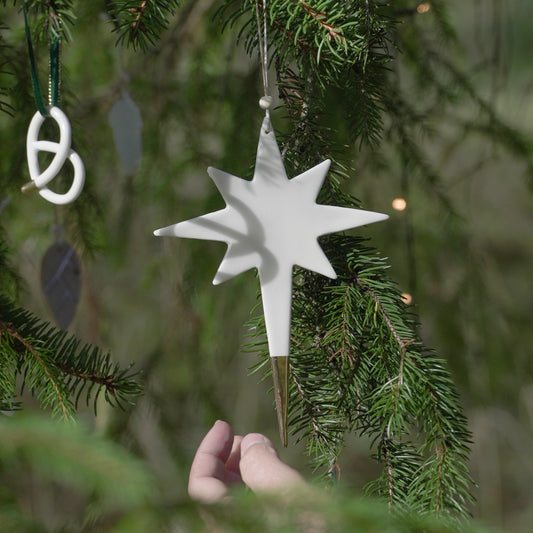 Déco Etoile du Berger