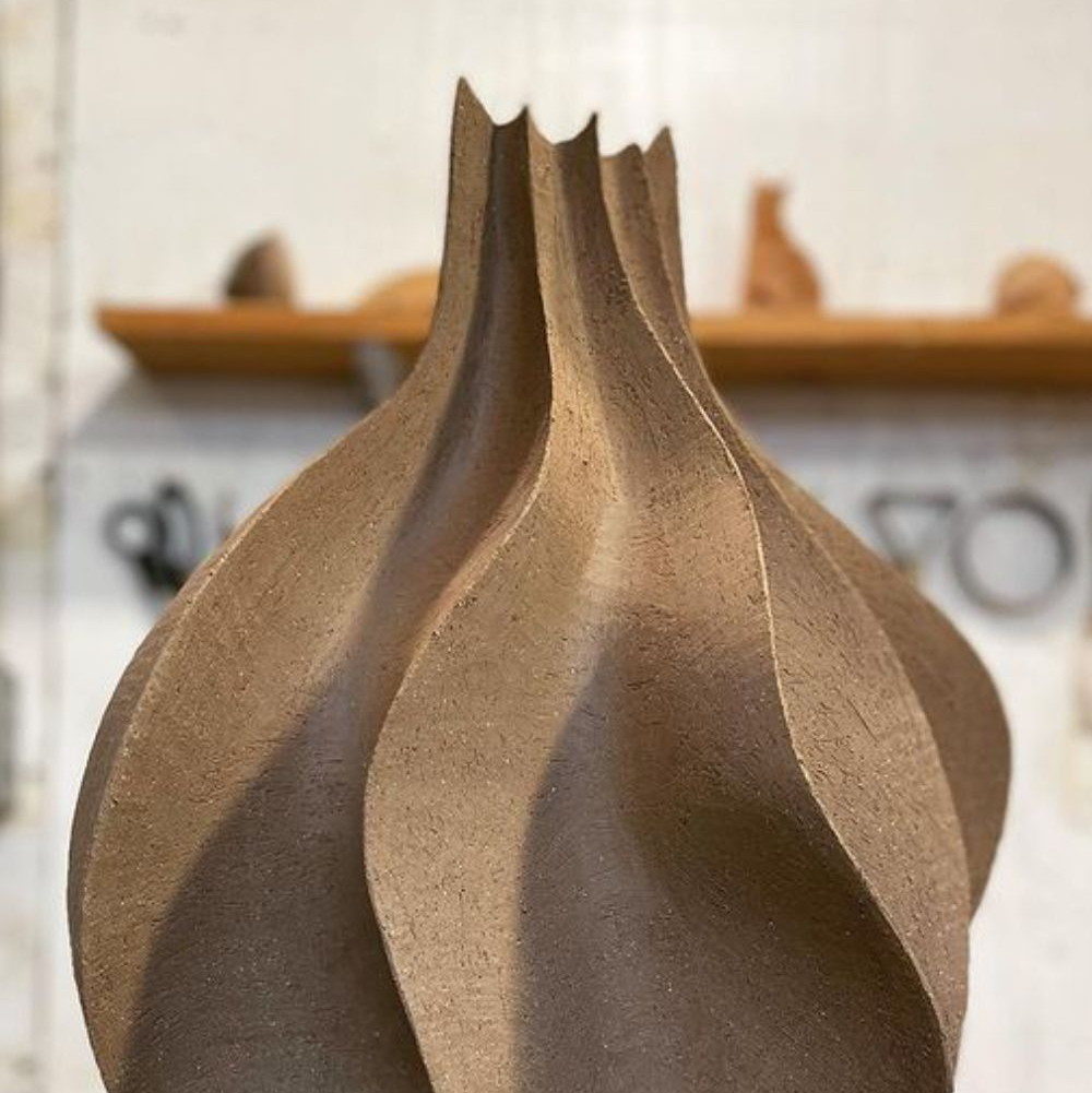 Vase à crêtes, vase coquillage ! Samedi 11 OCT à 9h30